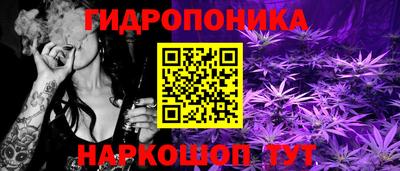 индика Донецк
