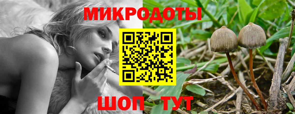 Надым  Псилоцибиновые грибы ЛСД  Вход с VPN 