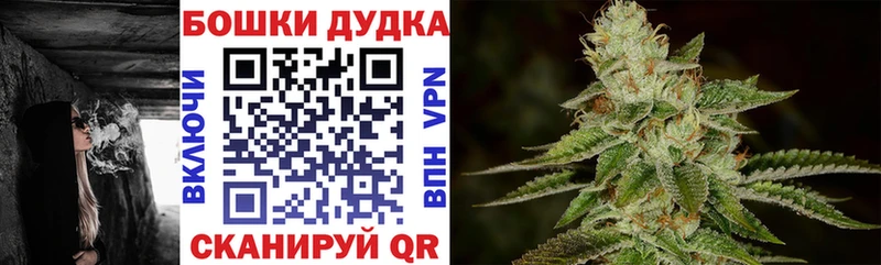 Бошки Шишки гибрид  Надым 